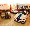 Mustang Eleonor, Lotus Esprit S1, Shelby GT350-R (siehe Occasion), Peugeot 205T16